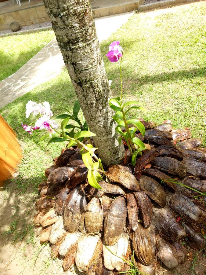 Chalets De Palma ลาดิก ภายนอก รูปภาพ